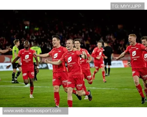 布兰与维京的精彩对决推荐你不可错过的战斗盛宴